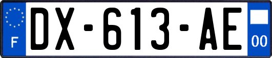 DX-613-AE