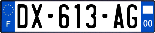 DX-613-AG