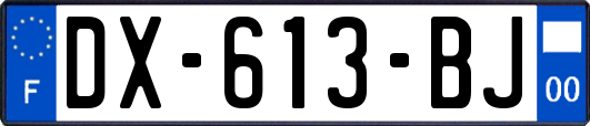 DX-613-BJ