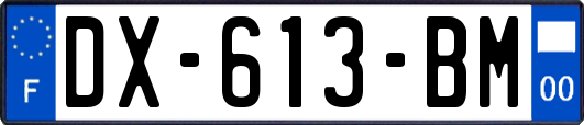 DX-613-BM