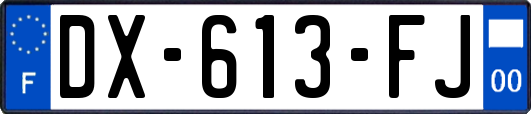 DX-613-FJ