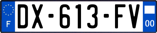 DX-613-FV