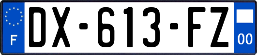 DX-613-FZ