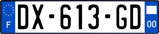 DX-613-GD