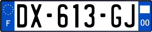 DX-613-GJ