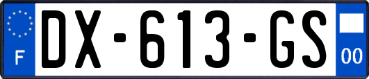 DX-613-GS