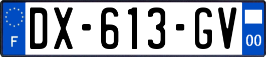 DX-613-GV