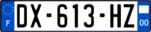 DX-613-HZ
