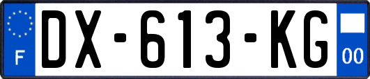 DX-613-KG