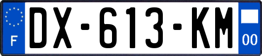 DX-613-KM