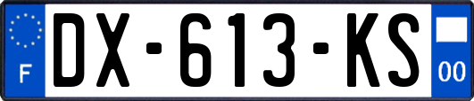 DX-613-KS