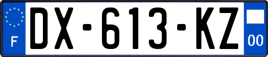 DX-613-KZ