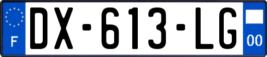 DX-613-LG