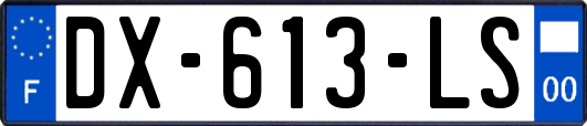 DX-613-LS