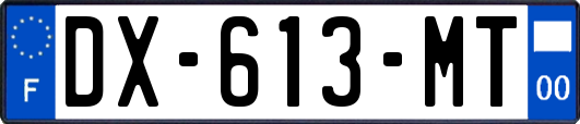DX-613-MT