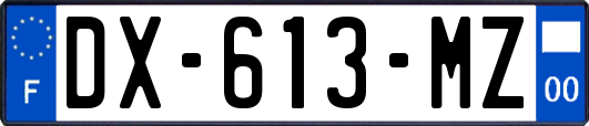 DX-613-MZ