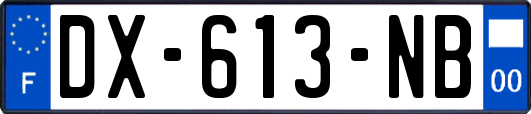 DX-613-NB