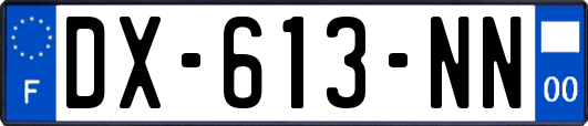 DX-613-NN