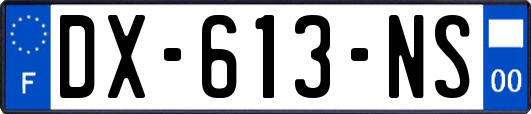 DX-613-NS