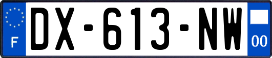 DX-613-NW