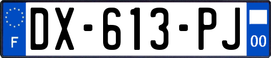 DX-613-PJ