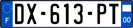 DX-613-PT