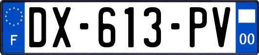 DX-613-PV