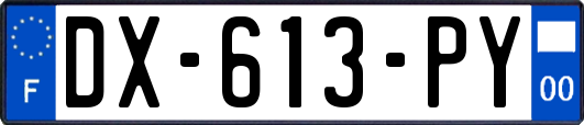 DX-613-PY