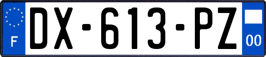 DX-613-PZ