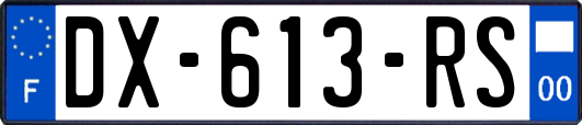 DX-613-RS