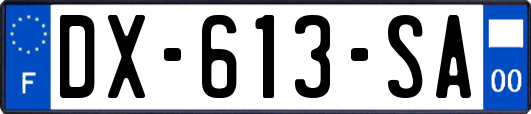 DX-613-SA
