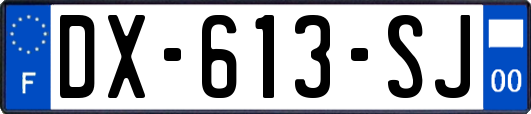 DX-613-SJ
