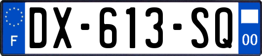 DX-613-SQ