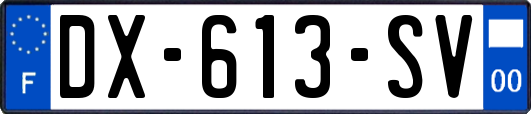 DX-613-SV