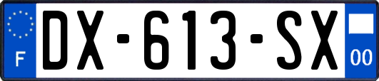 DX-613-SX