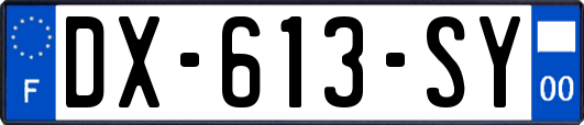 DX-613-SY