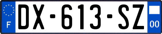 DX-613-SZ