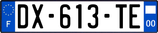 DX-613-TE