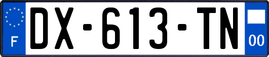 DX-613-TN