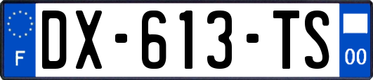 DX-613-TS