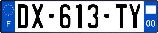 DX-613-TY