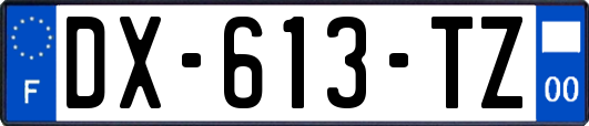 DX-613-TZ