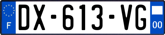 DX-613-VG