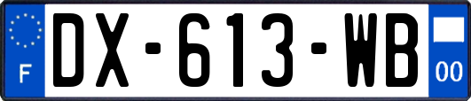 DX-613-WB