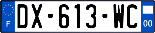 DX-613-WC