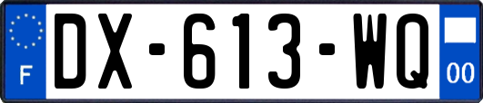 DX-613-WQ
