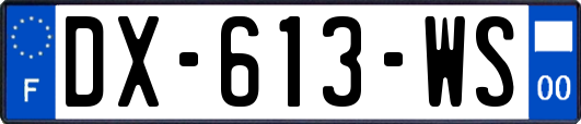 DX-613-WS