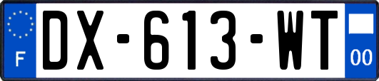 DX-613-WT