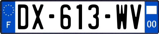 DX-613-WV