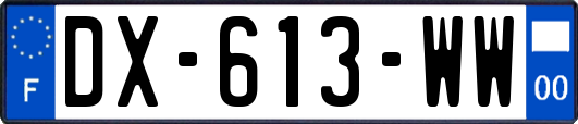 DX-613-WW